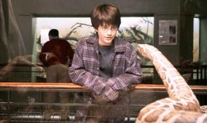 Harry Potter Speaking with Snake