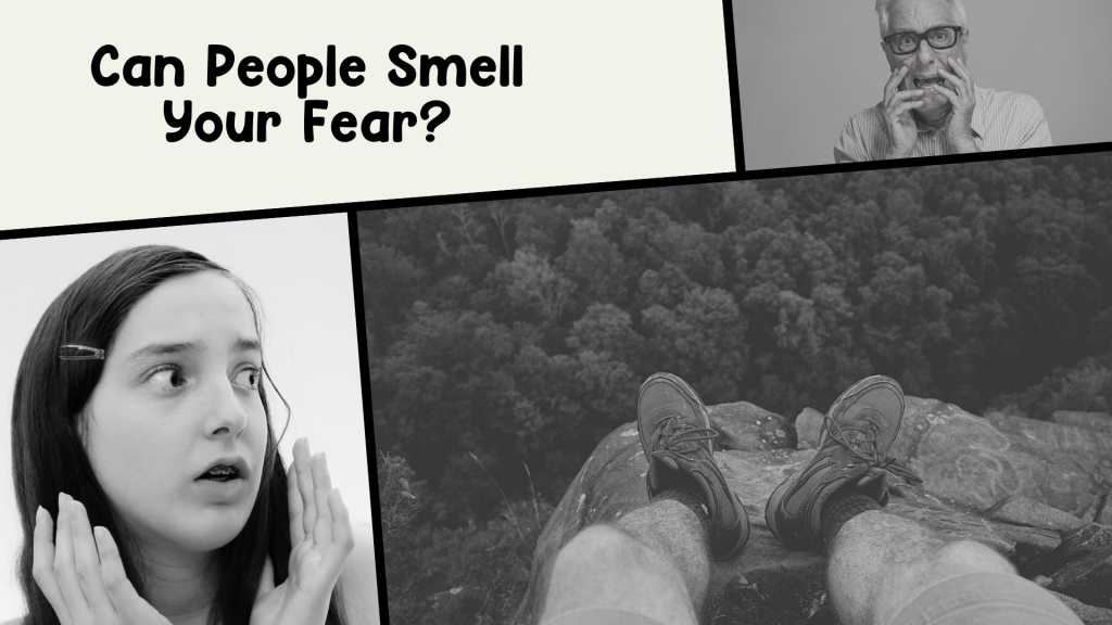 Can People Smell Your Fear